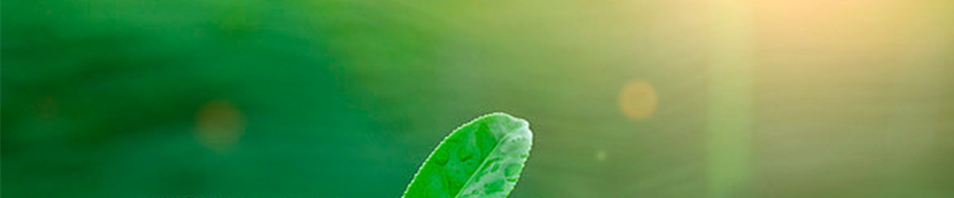 Slide tmp3 Image